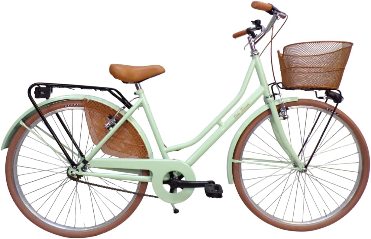 Bicicleta urbana holandesa vintage para mujer de 26 pulgadas con cesta de acero